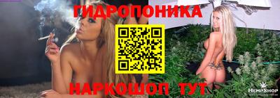 скорость Будённовск