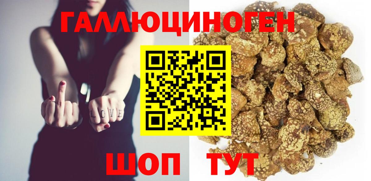 Галлюциногенные грибы мицелий  Вход с VPN  как найти наркотики  Котлас 